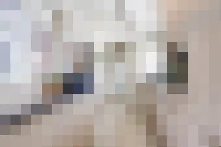 Arthur van Schendellaan 4 Bladel thumbnail 10