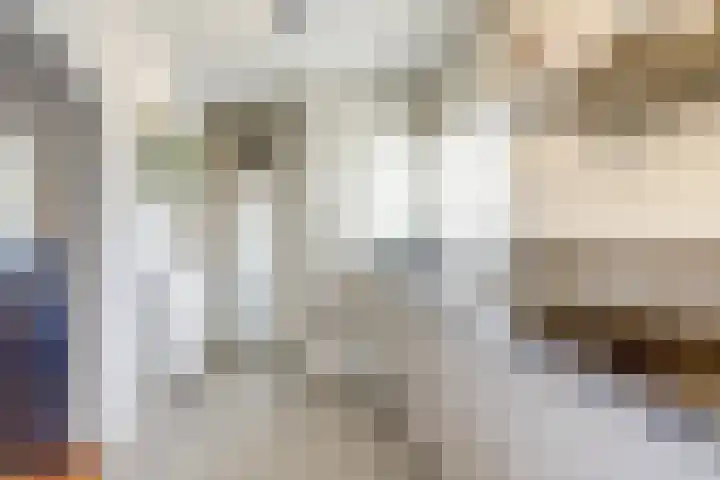 Arthur van Schendellaan 4 Bladel thumbnail 11