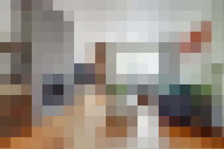 Arthur van Schendellaan 4 Bladel thumbnail 14