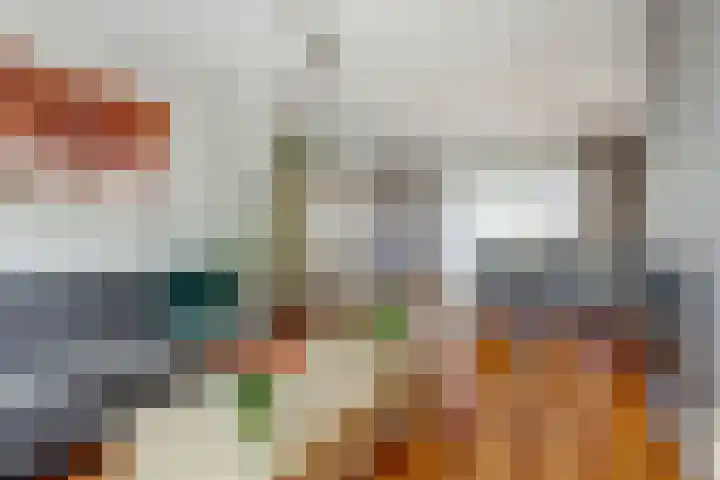 Arthur van Schendellaan 4 Bladel thumbnail 17