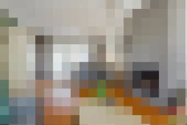 Arthur van Schendellaan 4 Bladel thumbnail 18