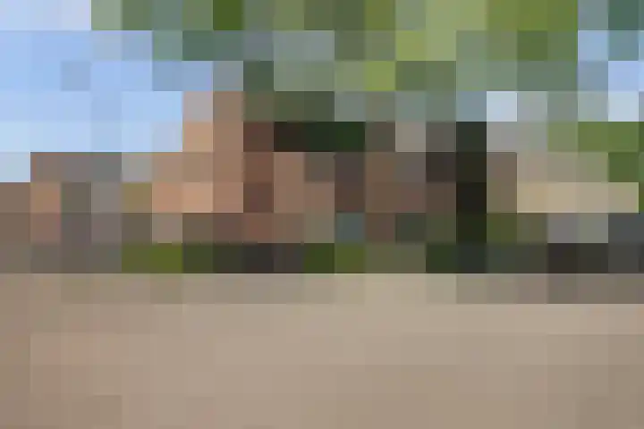 Arthur van Schendellaan 4 Bladel foto 2