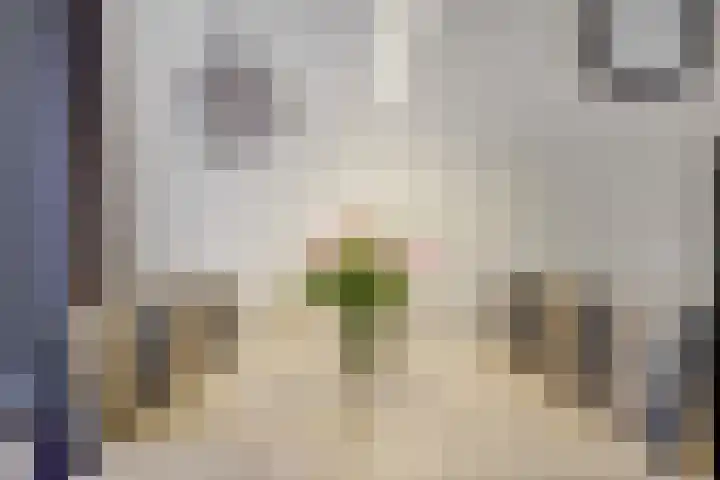 Arthur van Schendellaan 4 Bladel thumbnail 22