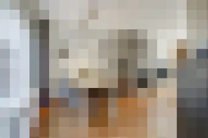 Arthur van Schendellaan 4 Bladel thumbnail 24