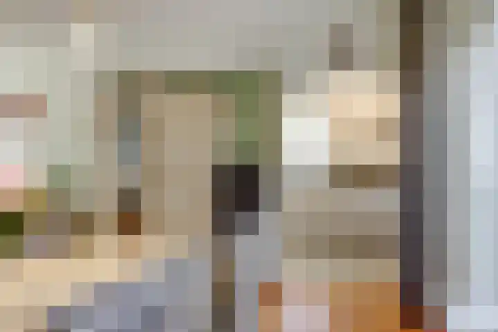 Arthur van Schendellaan 4 Bladel thumbnail 25