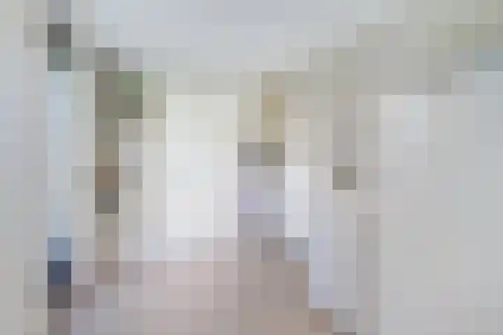Arthur van Schendellaan 4 Bladel thumbnail 27