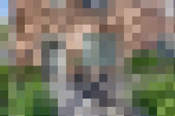 Arthur van Schendellaan 4 Bladel foto 3