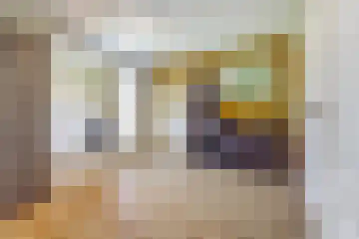 Arthur van Schendellaan 4 Bladel thumbnail 31