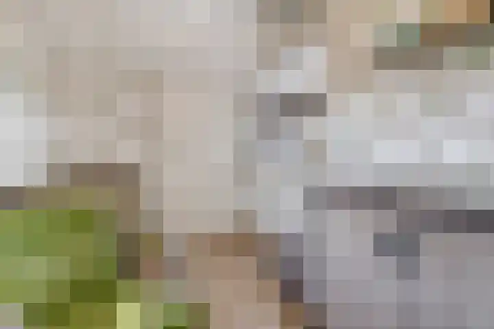 Arthur van Schendellaan 4 Bladel thumbnail 35