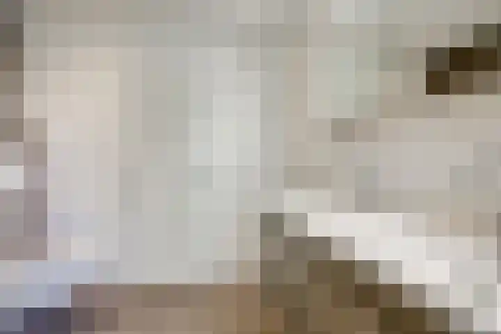 Arthur van Schendellaan 4 Bladel thumbnail 38