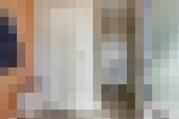 Arthur van Schendellaan 4 Bladel thumbnail 4