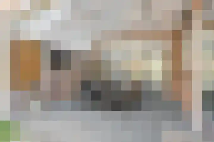 Arthur van Schendellaan 4 Bladel thumbnail 46
