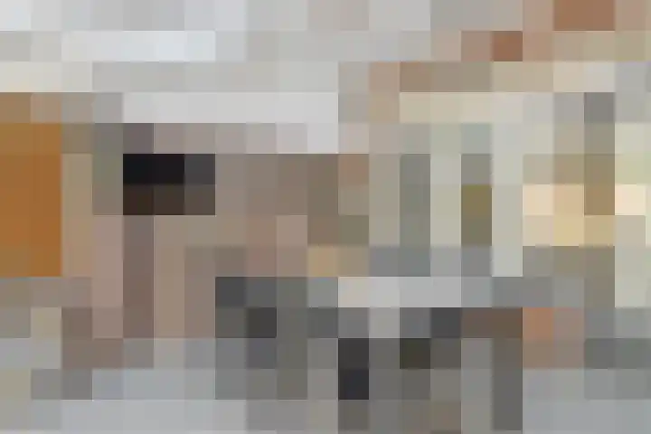 Arthur van Schendellaan 4 Bladel thumbnail 47