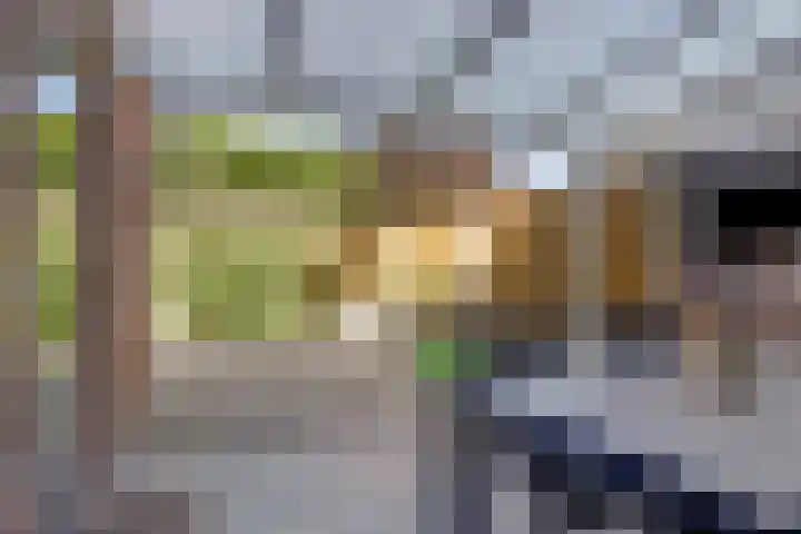 Arthur van Schendellaan 4 Bladel thumbnail 48