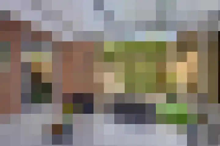 Arthur van Schendellaan 4 Bladel thumbnail 49