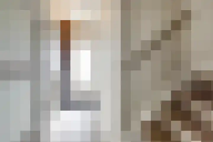 Arthur van Schendellaan 4 Bladel thumbnail 5