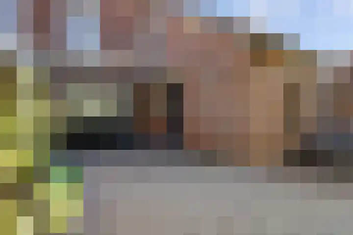 Arthur van Schendellaan 4 Bladel thumbnail 51