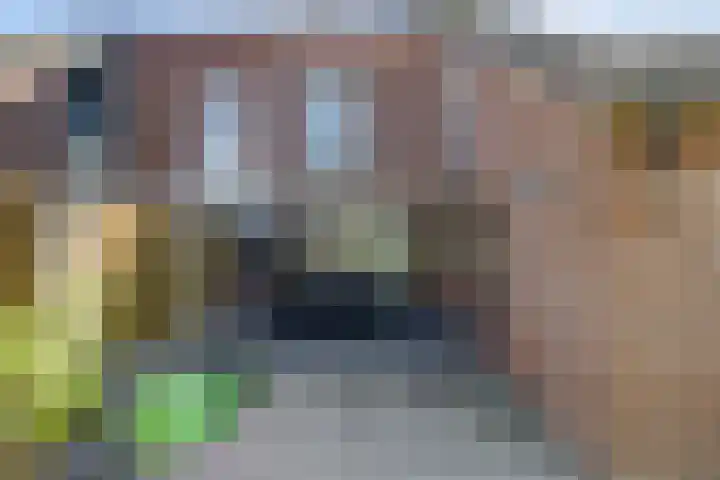 Arthur van Schendellaan 4 Bladel thumbnail 53
