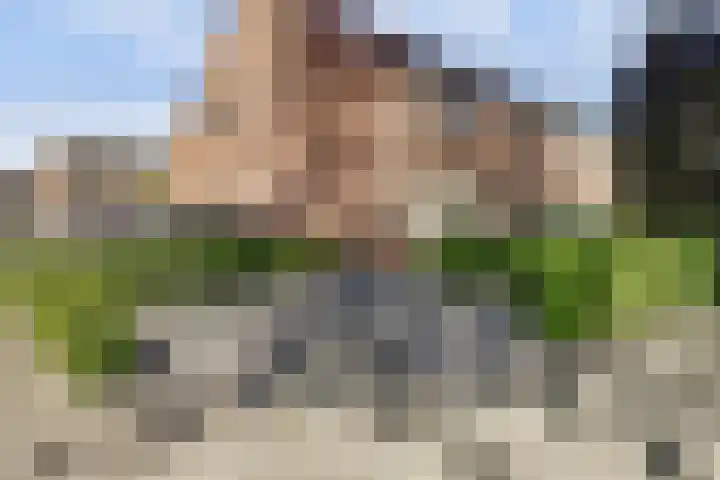 Arthur van Schendellaan 4 Bladel thumbnail 54