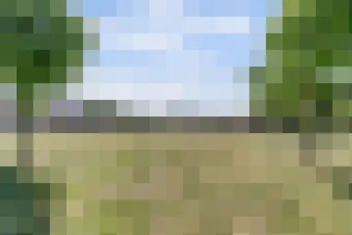 Arthur van Schendellaan 4 Bladel thumbnail 56