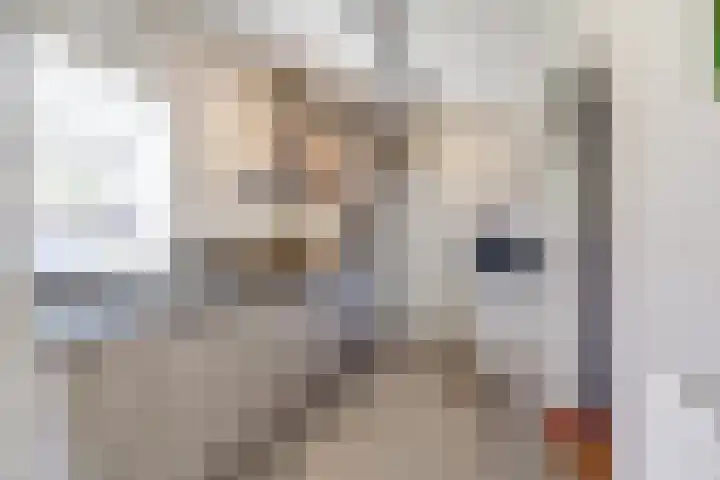 Arthur van Schendellaan 4 Bladel thumbnail 7