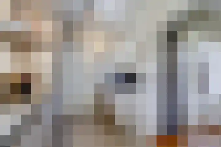 Arthur van Schendellaan 4 Bladel thumbnail 9
