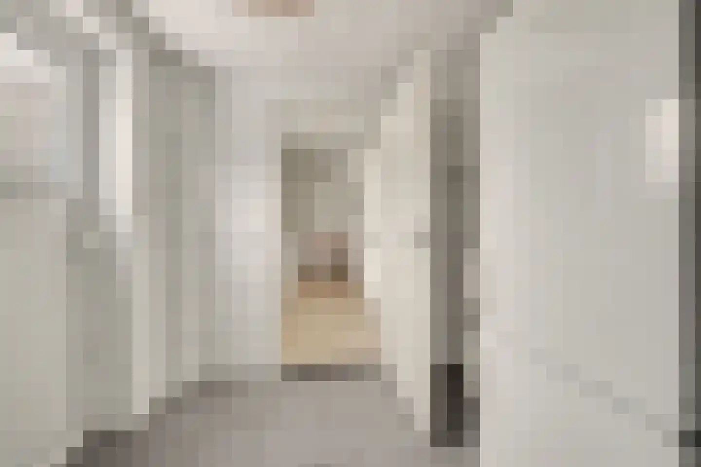 Arthur van Schendellaan 6 Bladel thumbnail 18
