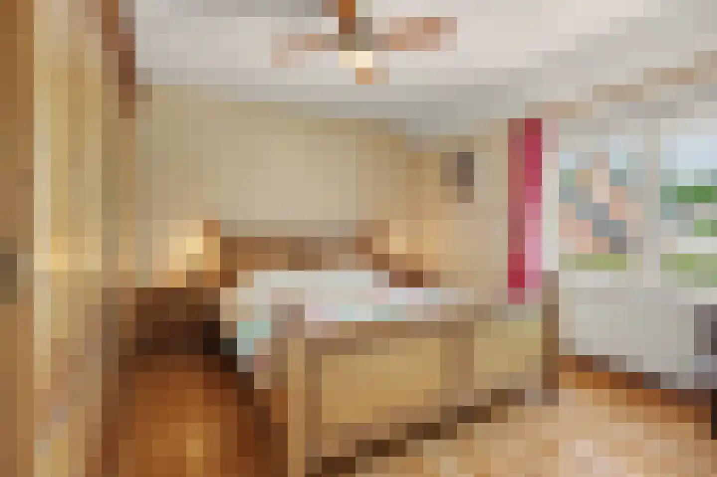 Arthur van Schendellaan 6 Bladel thumbnail 23