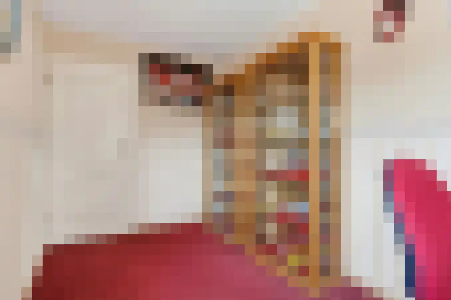 Arthur van Schendellaan 6 Bladel thumbnail 24