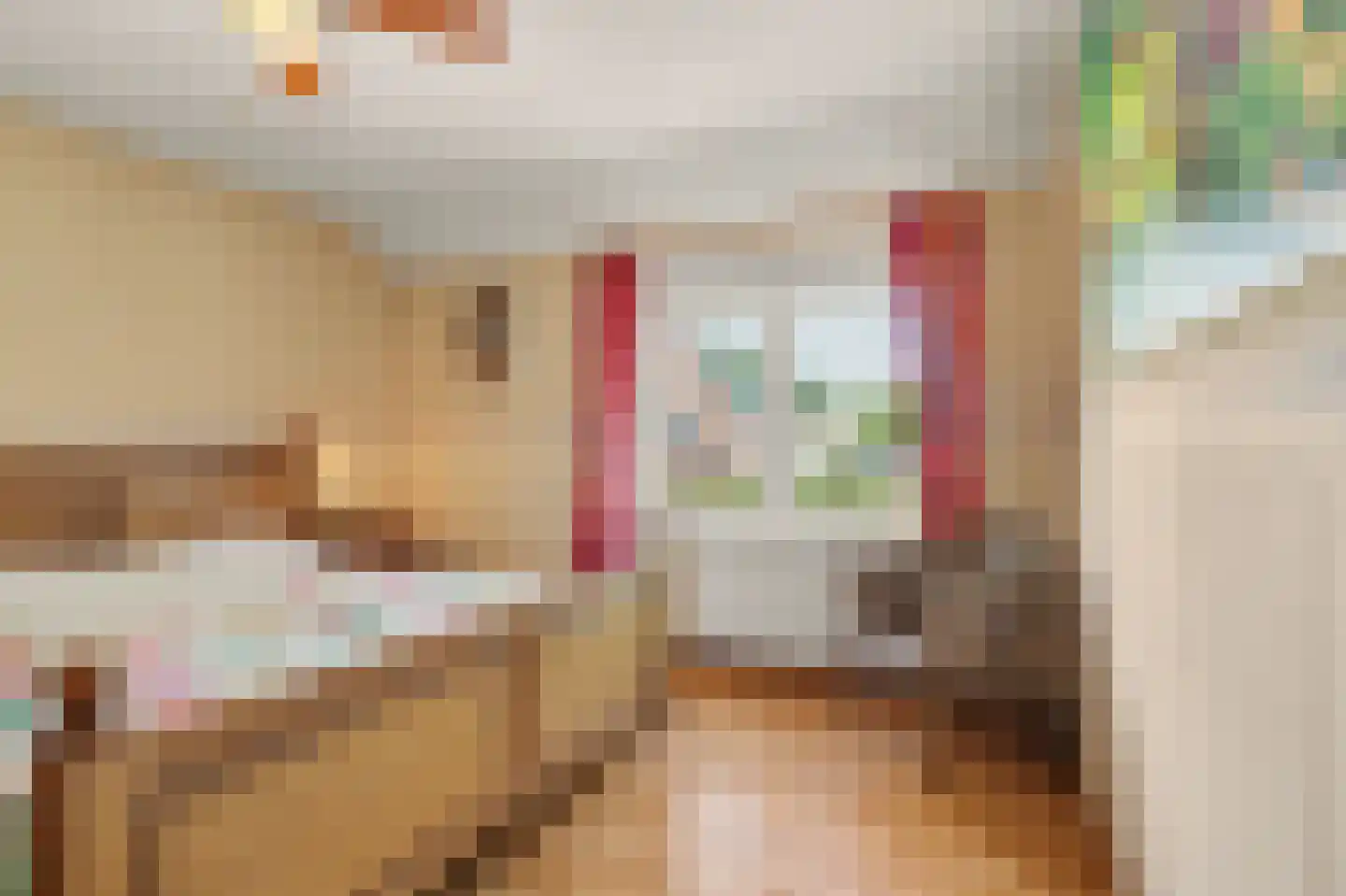 Arthur van Schendellaan 6 Bladel thumbnail 24