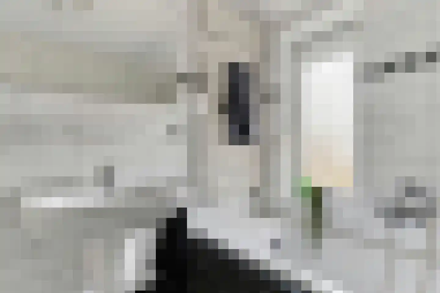 Arthur van Schendellaan 6 Bladel thumbnail 26