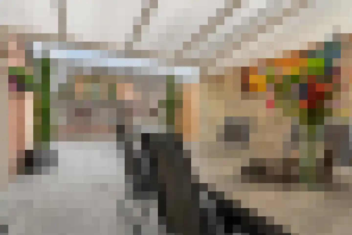 Arthur van Schendellaan 6 Bladel thumbnail 30