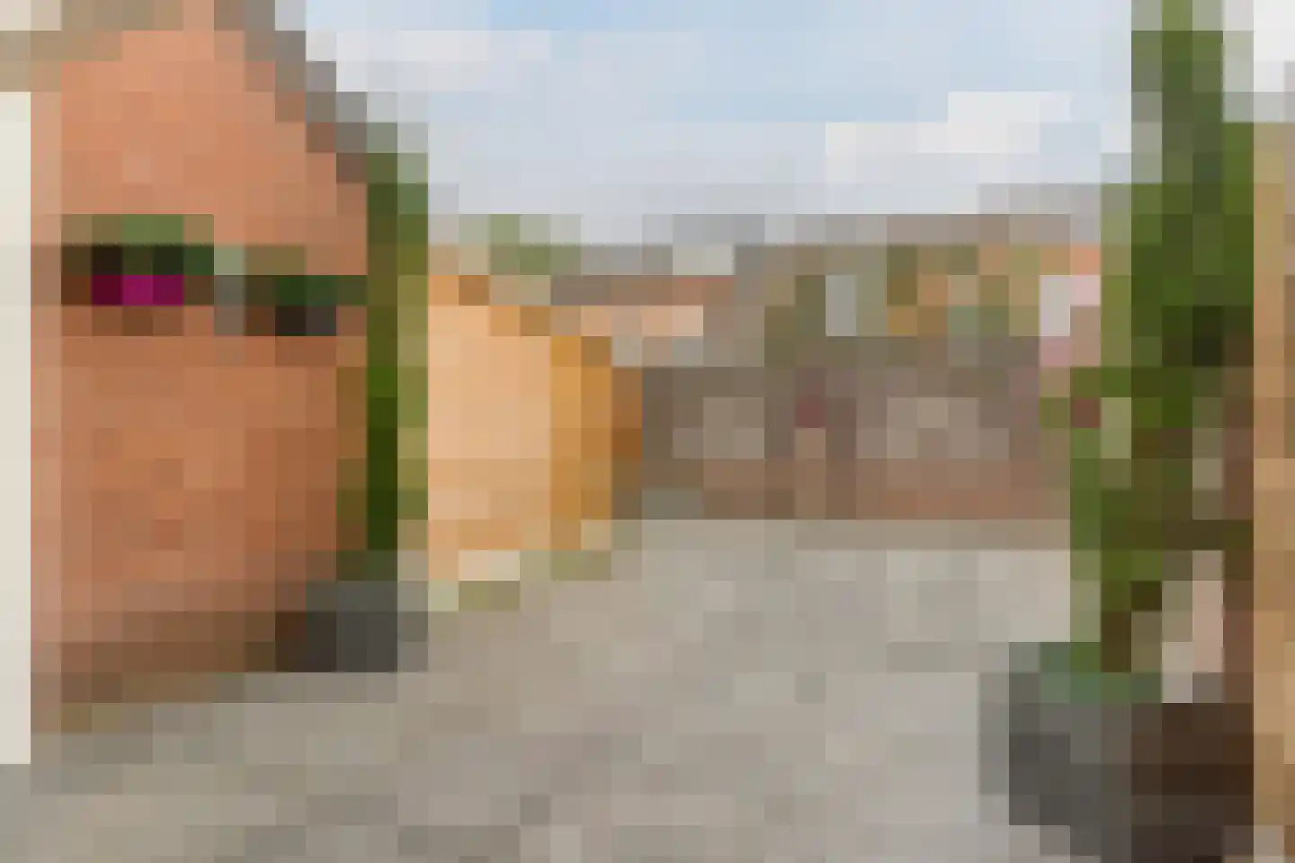 Arthur van Schendellaan 6 Bladel thumbnail 32