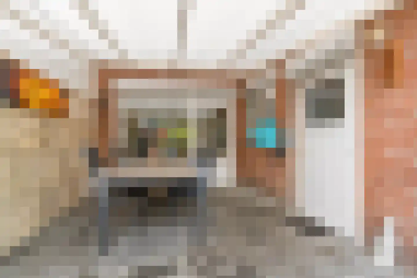 Arthur van Schendellaan 6 Bladel thumbnail 34