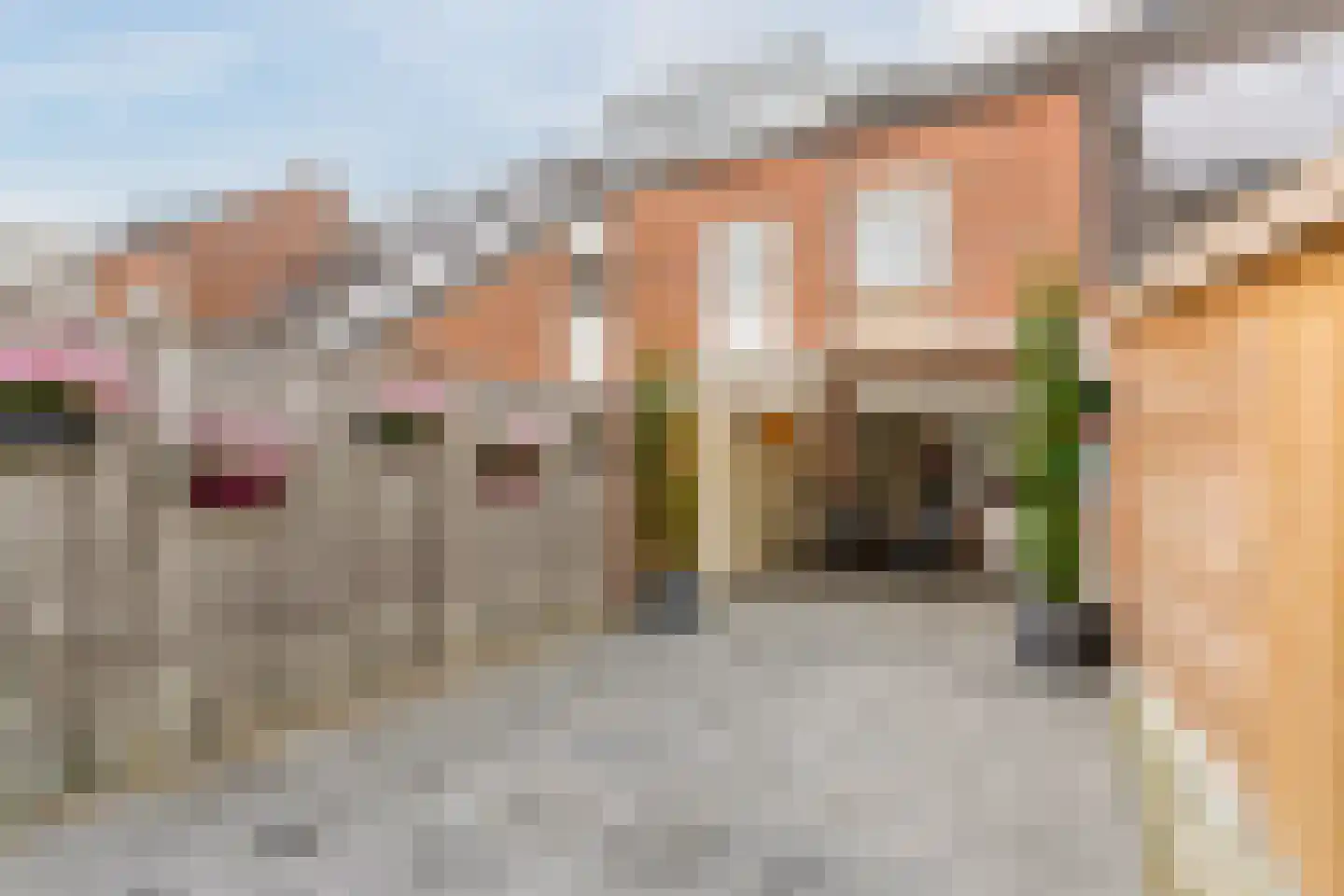 Arthur van Schendellaan 6 Bladel thumbnail 36