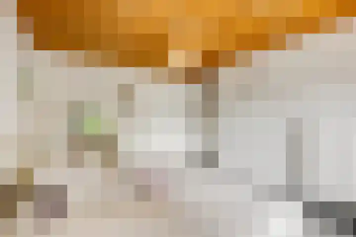 Arthur van Schendellaan 8 Ede thumbnail 13