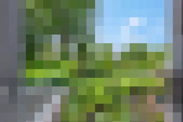 Arthur van Schendellaan 8 Ede thumbnail 14