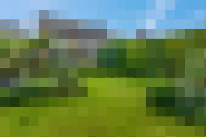 Arthur van Schendellaan 8 Ede thumbnail 21