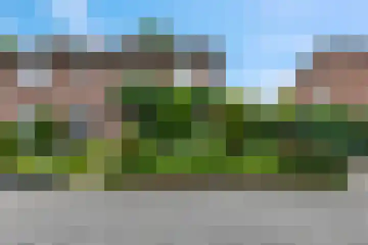 Arthur van Schendellaan 8 Ede thumbnail 29