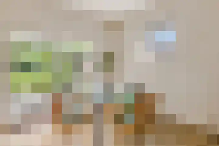 Arthur van Schendellaan 8 Ede thumbnail 7