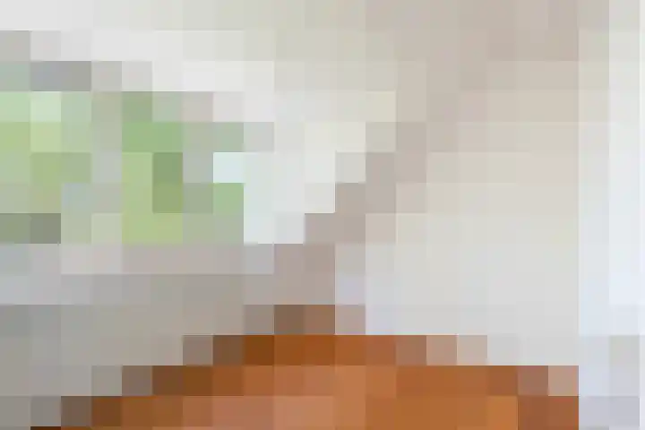 Arthur van Schendelpad 5 Oegstgeest thumbnail 24