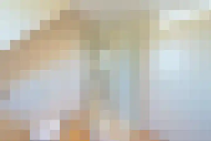Arthur van Schendelpad 5 Oegstgeest thumbnail 28