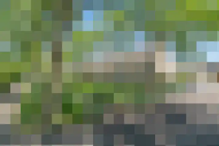 Arthur van Schendelpad 5 Oegstgeest thumbnail 37