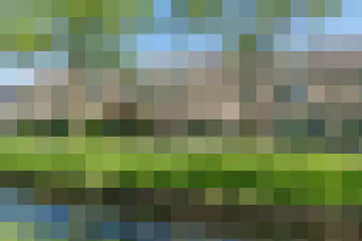 Arthur van Schendelpad 5 Oegstgeest thumbnail 38