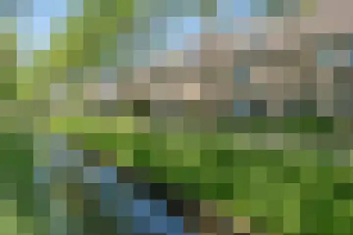 Arthur van Schendelpad 5 Oegstgeest thumbnail 39