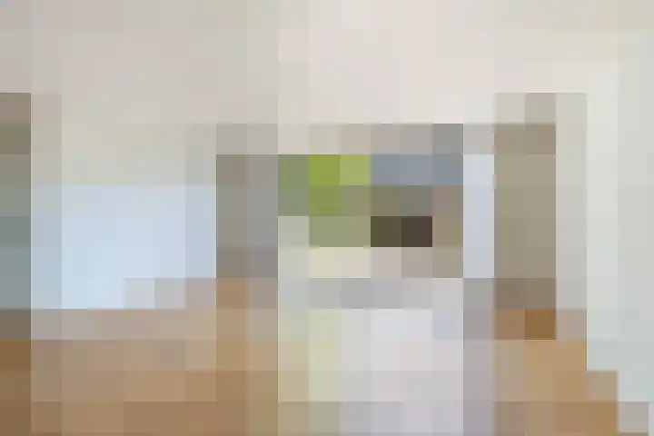 Arthur van Schendelpad 5 Oegstgeest thumbnail 8