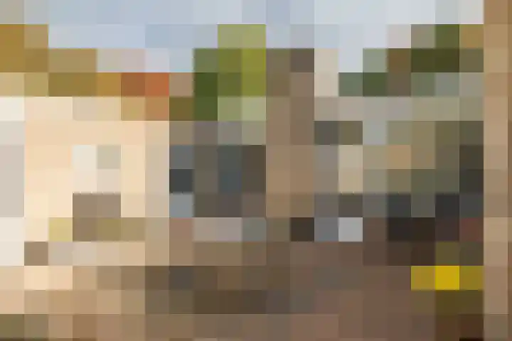 Arthur van Schendelpark 1 Tilburg thumbnail 30