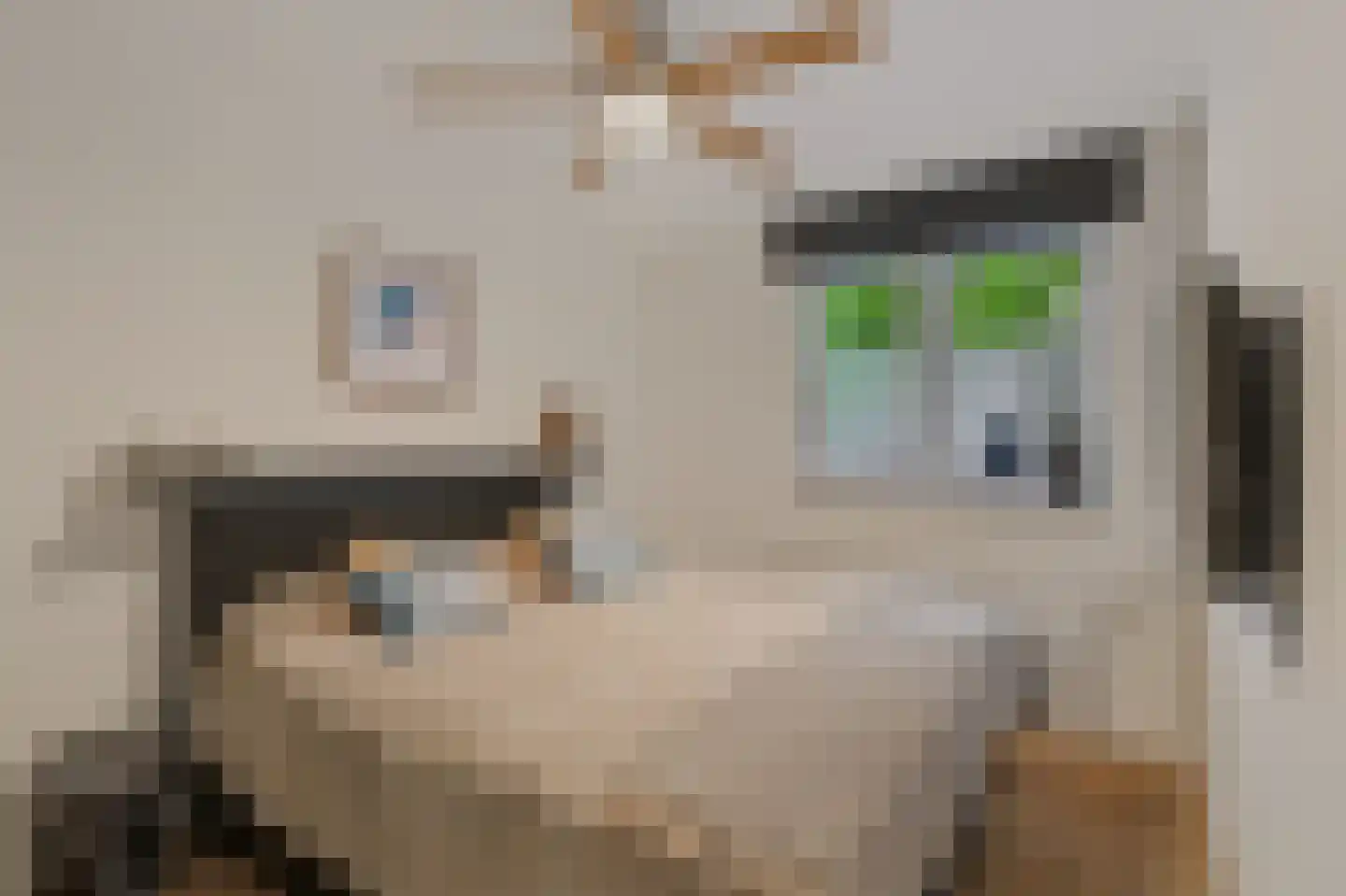 Arthur van Schendelplein 21 Hillegom thumbnail 24
