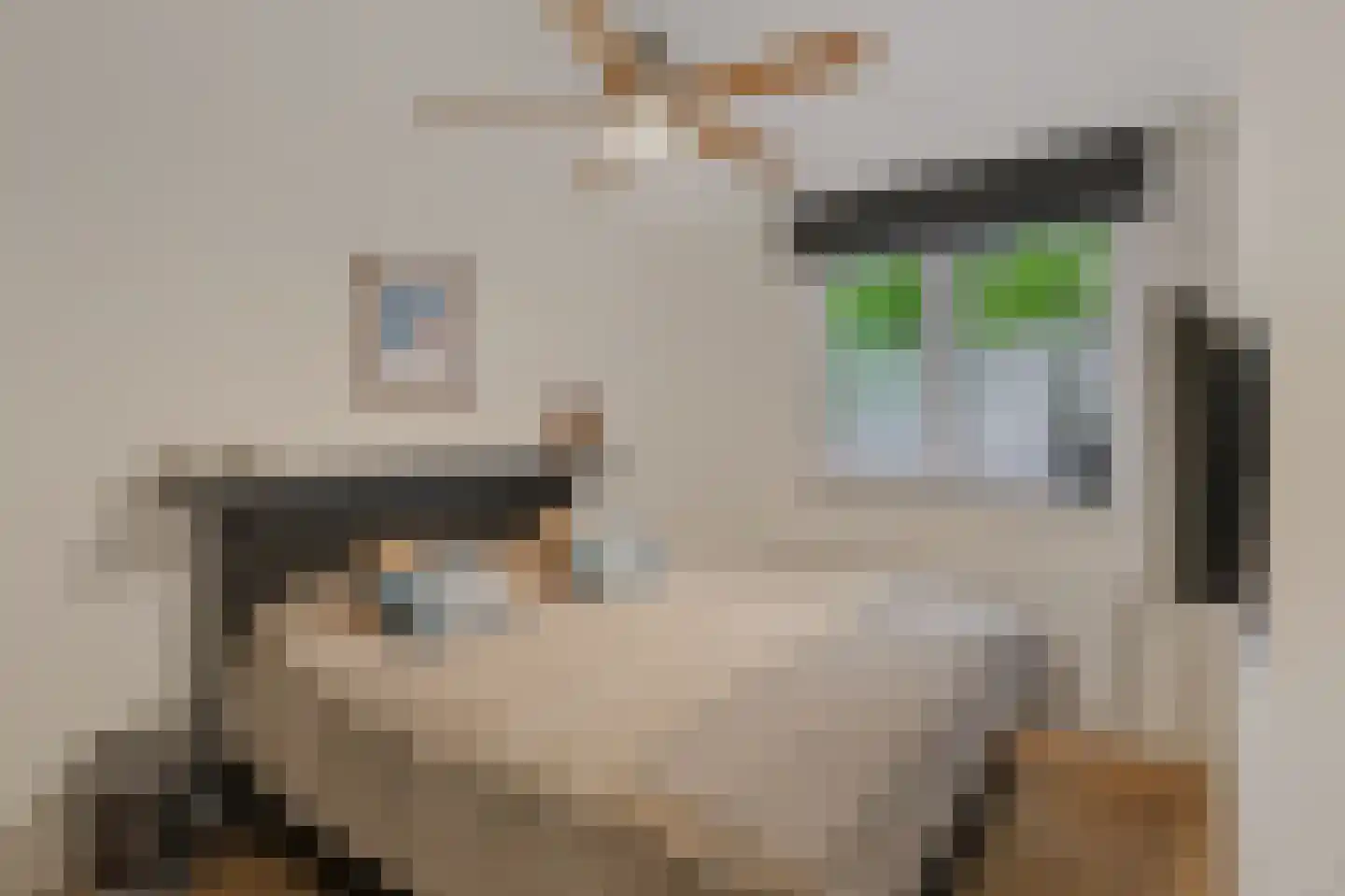 Arthur van Schendelplein 21 Hillegom thumbnail 5
