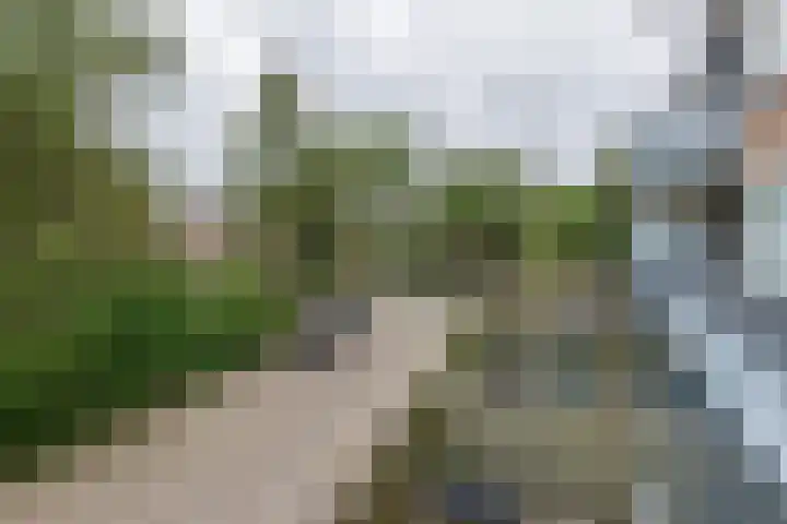 Arthur van Schendelplein 26 Hillegom thumbnail 23
